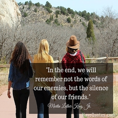 In the end we will remember not the words of our enemies but the silence of our friends Quote