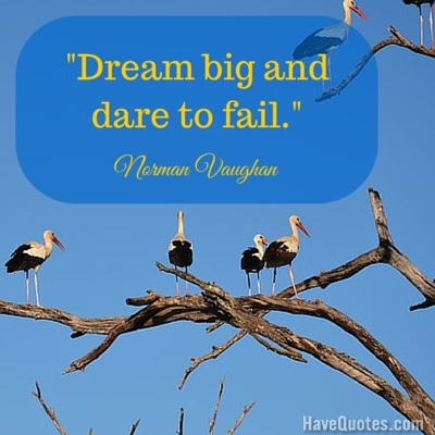 Dream big and dare to fail Quote