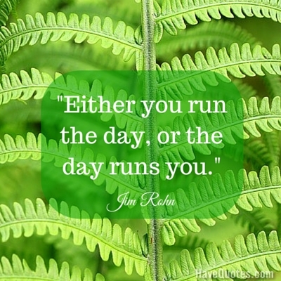 Either you run the day or the day runs you Quote