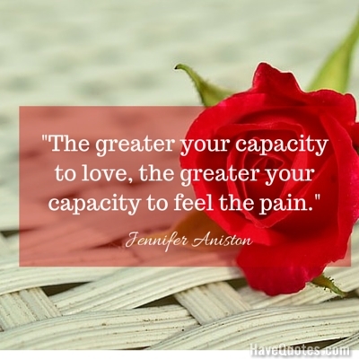 The greater your capacity to love the greater your capacity to feel the pain Quote