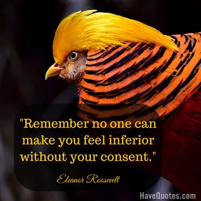 Remember no one can make you feel inferior without your consent Quote