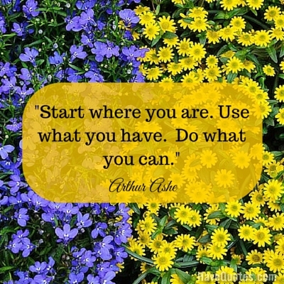 Start where you are Use what you have Do what you can Quote