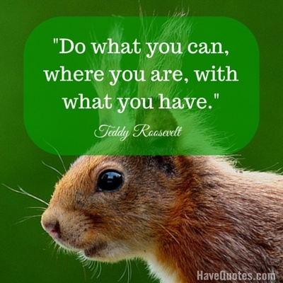 Do what you can where you are with what you have Quote