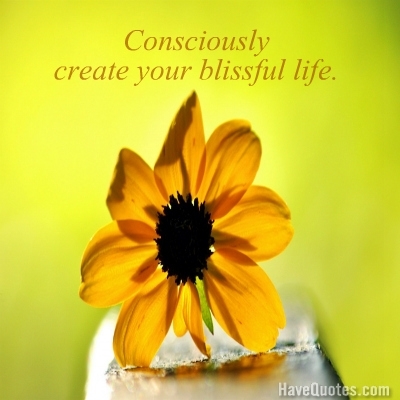 Consciously create your blissful life Quote