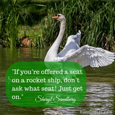 If youre offered a seat on a rocket ship dont ask what seat! Just get on Quote