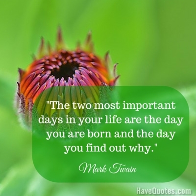 The two most important days in your life are the day you are born and the day you find out why Quote