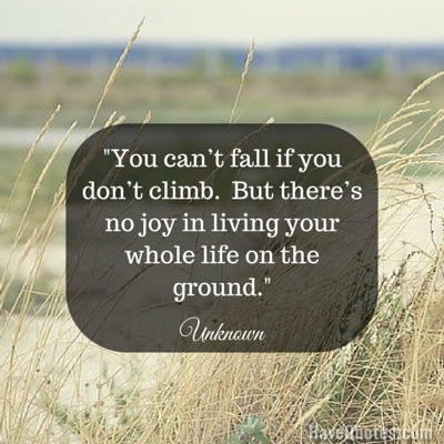 You cant fall if you dont climb But theres no joy in living your whole life on the ground Quote