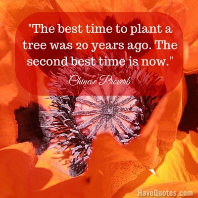 The best time to plant a tree was 20 years ago The second best time is now Quote