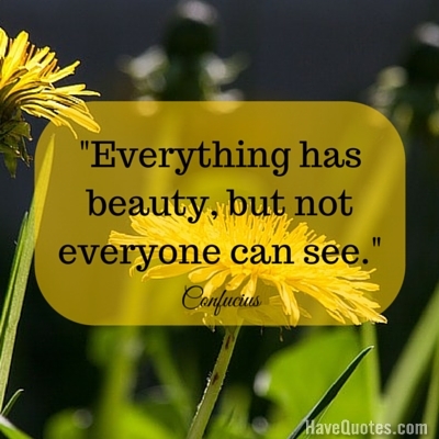 Everything has beauty but not everyone can see Quote