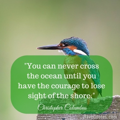 You can never cross the ocean until you have the courage to lose sight of the shore Quote