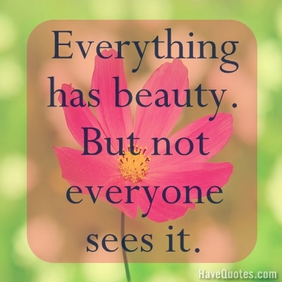 Everything has beauty But not Quote