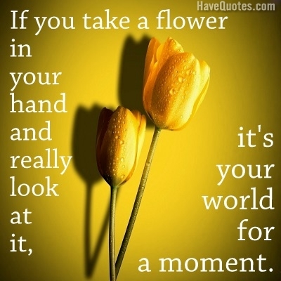 If you take a flower in your Quote