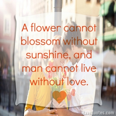 A flower cannot blossom without Quote