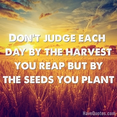 Dont judge the day by the harvest Quote