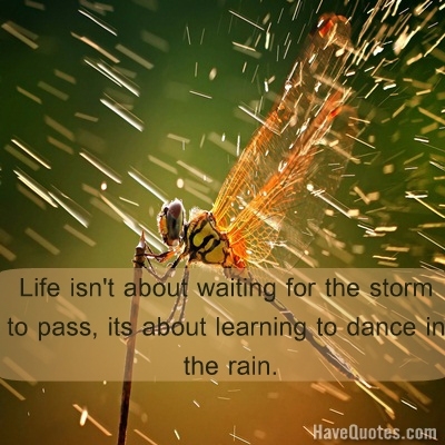 Life isnt about waiting for the storm to pass its learning to dance in the rain Quote