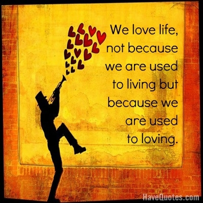 We love life not because we are Quote