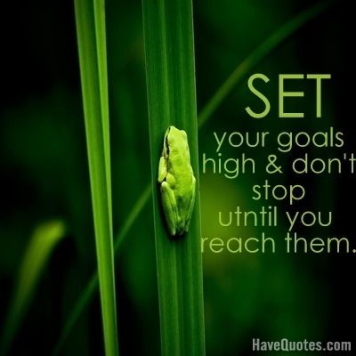 Set your goals high and dont stop till you reach them Quote